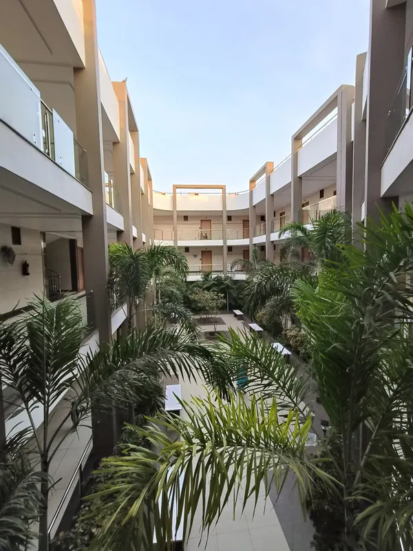 Palm trees in the central courtyard of the guest house